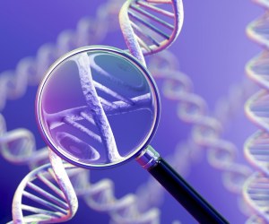 دی ان ای (DNA) چیست؟